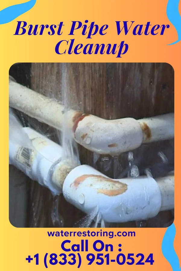 Burst Pipe Water Cleanup in Radisson, NY