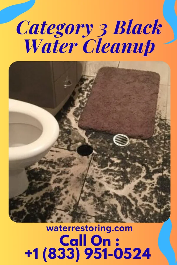 Category 3 Black Water Cleanup in Radisson, NY