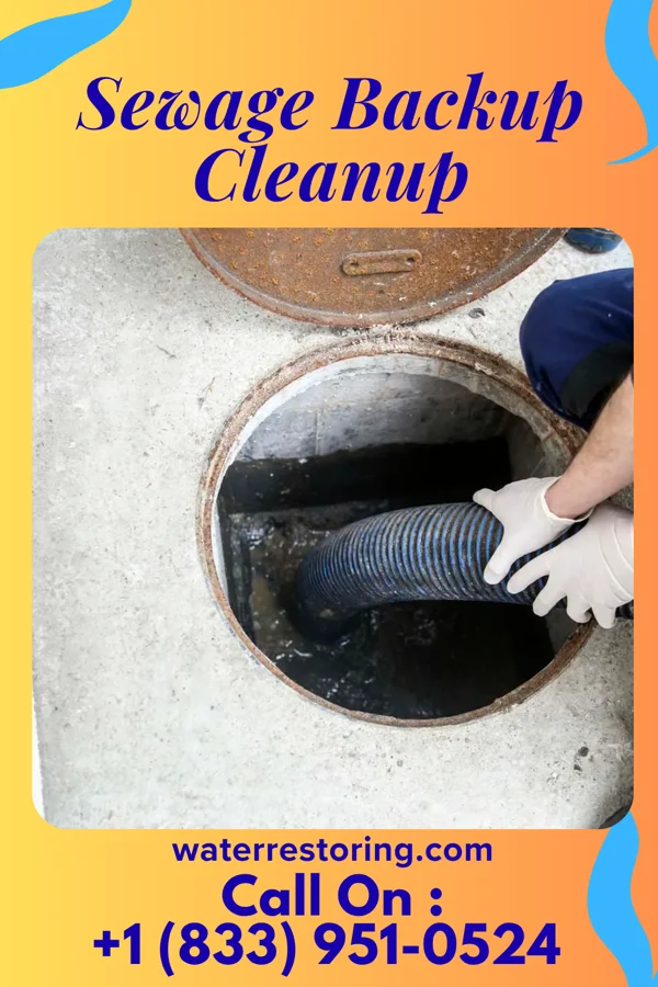 Sewage Backup Cleanup in Radisson, NY
