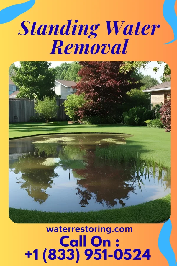 Standing Water Removal in Radisson, NY